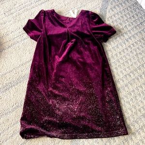 Purple sparkle velvet dress!